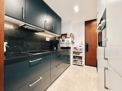 Draycott Park (D10), Condominium #472189091